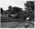 Group cleaning lawn, Huntington, WV, 1957