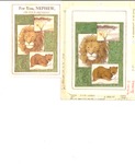 Lion and leopard nephew brithday card
