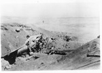 WWII Pacific Theater, combat photo: wrecked airplane by Earl F. Dickinson