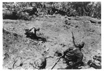 WWII Pacific Theater, combat photo: US Marines attacking a Japenese position