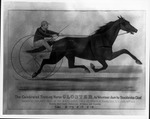 "Gloster". James Roosevelt's champion trotter, ca. 1874