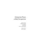 Enterprise Pharo a Web Perspective