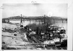 Steamboats at wharf (probably Cincinnati,) Tacoma, M. P. Wells, Hercules Carrel (towboat), Levi J. Workum, Keystone State, Peters Lee, City of Louisville by Marshall University